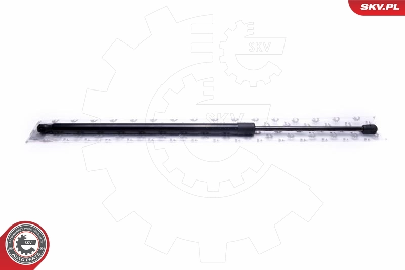 Gas Spring, boot/cargo area
